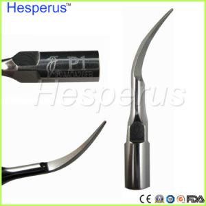 Dental Ultrasonic Scaler Tips Fits for Woodpecker Handpiece Ce Approved P1