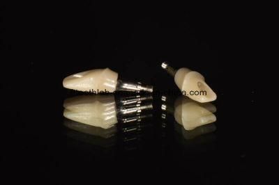 Full Ceramic Custom Abutment Used for Dental Implants Cases