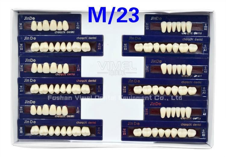 2-Layer Dental Synthetic Polymer Teeth Resin Teeth Acrylic Denture Teeth