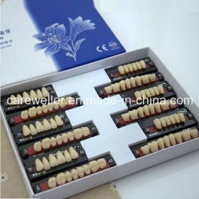 Three Layer Synthetic Resin Teeth