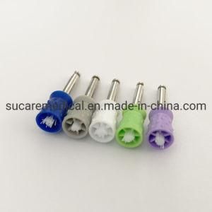 Dual Use Disposable Dental Polishing Cup with Brush