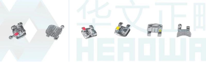Dental Product Orthodotic Brackets Brace Roth
