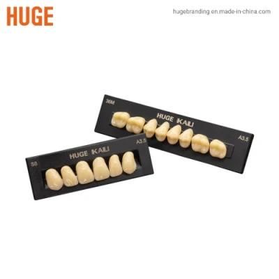 Huge Cheaper Price Dental Synthetic Teeth Kaili