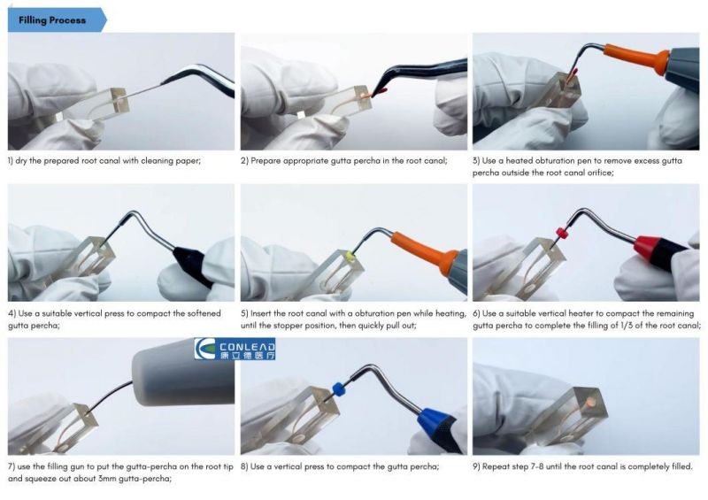 Ultimate Gutta-Percha Obturation System for Root Canal Procedures, Includes Heat & Packing Pen and Hot Melting & Filing Gun