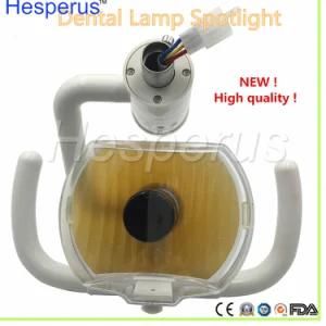 High Quality Dental Lamp for Oral Exmination