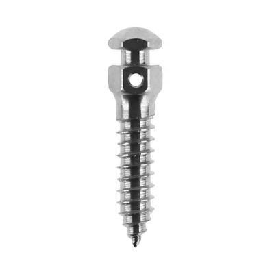 2021 New Dental Implants Self Drilling Thread Titanium Alloy Micro Orthodontic Anchorage Screw