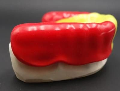 Sports Mouth Guards/Sport Guard From China Dental Laboratory