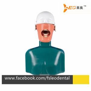 Dental Practice Manikin Phantom Head with Simulated Body