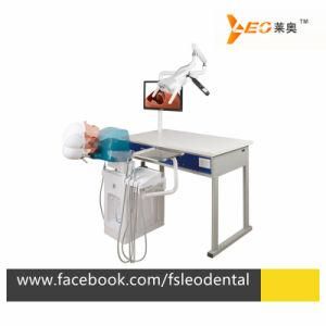 Dental Teaching Manikin Phantom Head with Body