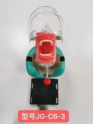 Factory Wholesale Price Dental Simulator Unit for Dental Study