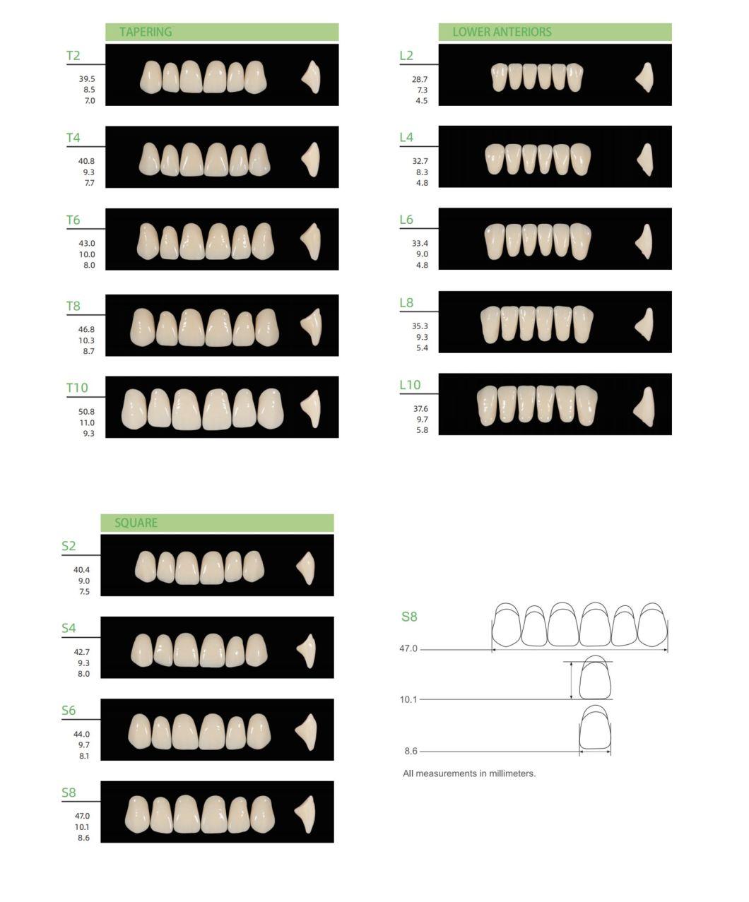 Huge Dental CE and ISO Approved Kaili Denture Teeth for Dental Laboratory