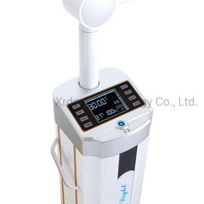 Dental Whitening Lights Dental Care Equipment with LCD Touch Screen Cost Effective