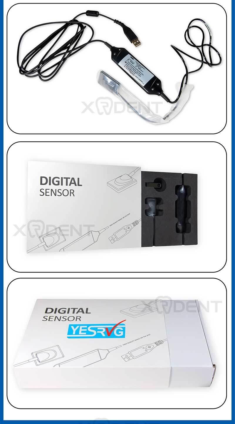 Factory Price USB Digital Dental X-ray Sensor Rvg Dental