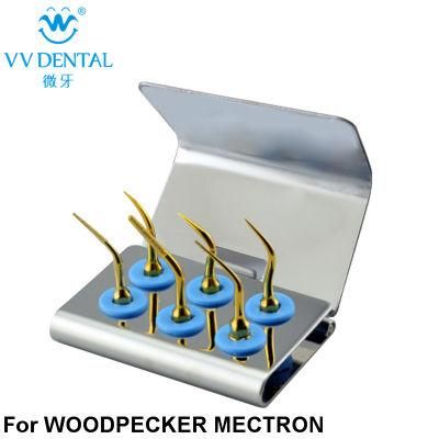 Wspk Dental Ultrasonic Inserts Sets for Woodpecker Surgery Tip