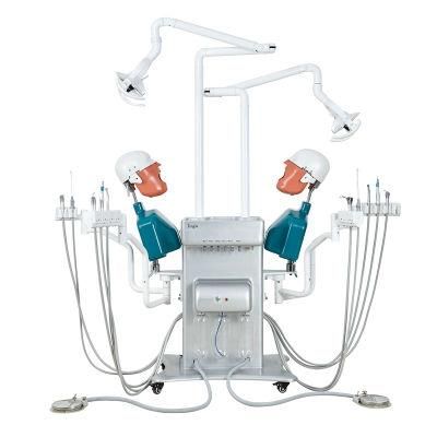 Dental Phantom Head Simulator Unit for Two Students Manual Type