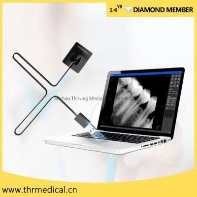 Hdr Digital Rvg Dental Sensor Smart Dental Digital X-ray Sensor for Sale