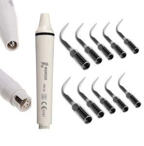 Dentist Ultrasonic Handpiece Scaling Tips of Dental Equipment