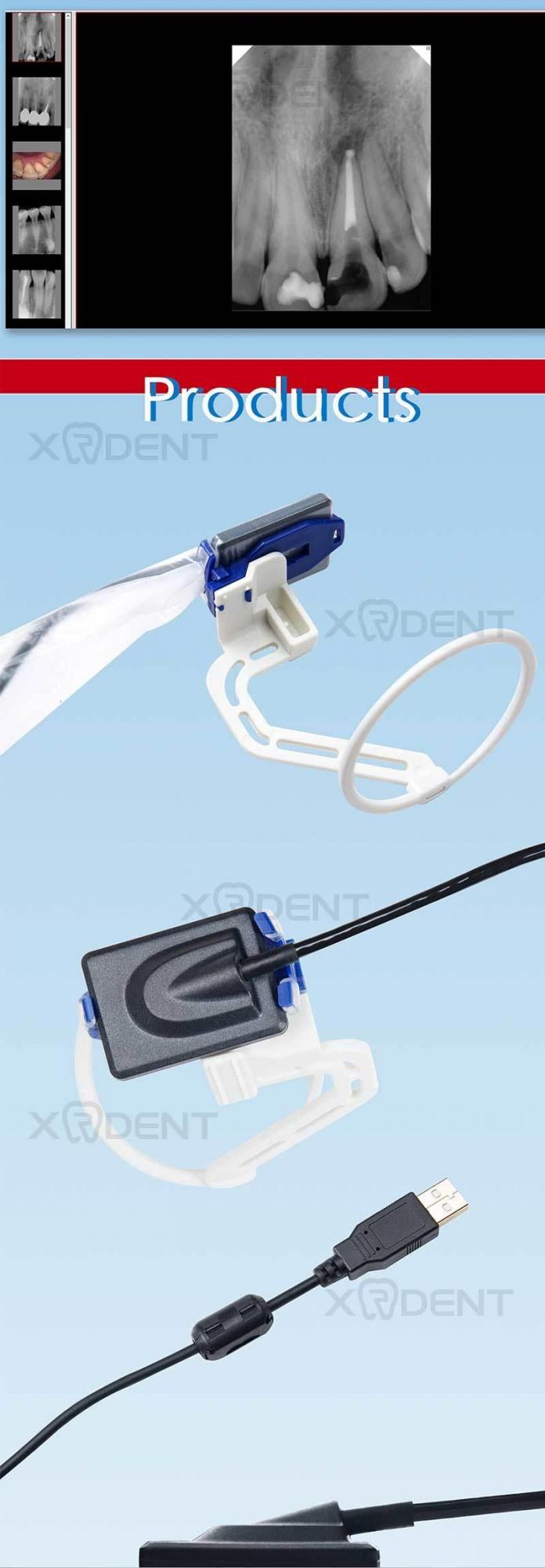 Rvg High Resolution Dental Digital X-ray Sensor China Dentistry Equipment