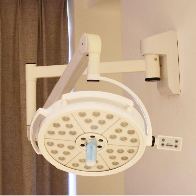 Wall Mounted Outpatient Plastic Surgery Pet Medical Dental Implant Surgical Lamp