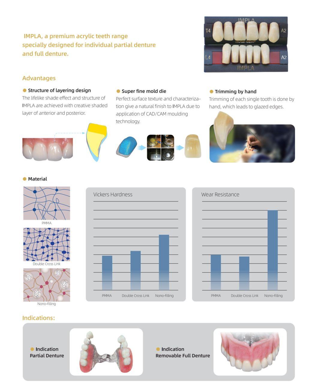 High Quality Five Layers Impla Shandong Huge Full and Removable Implant-Support Full Denture Acrylic Resin Practical False Teeth