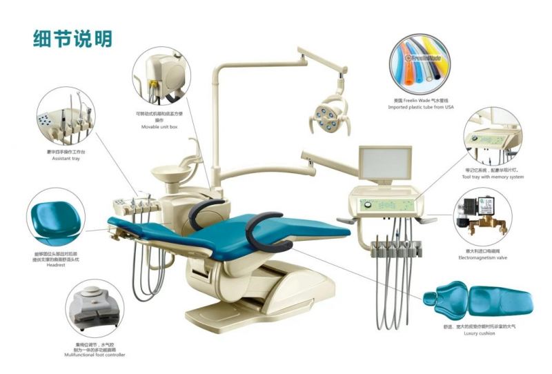 China Large Film View Intelligent with Control System Dental Chair Unit