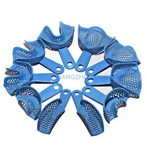 Dental Consumables Plastic-Steel Teeth Holder Impression Trays for Denture Model