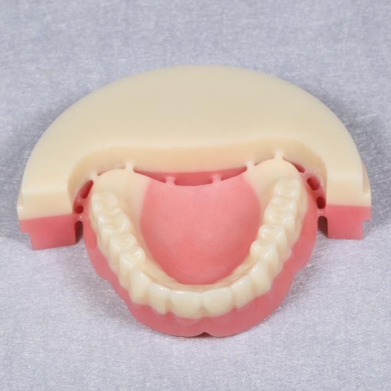 Dental Material 98mm PMMA Double Layer with Open Cadcam System
