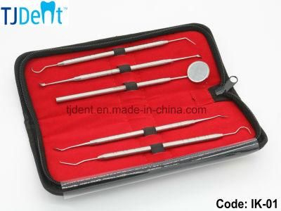 Dental Hygienic Superior Stainless Steel Oral Care Instrument Kit with Mouth Mirror, Scaler, Probe, Toothpick, Tartar &amp; Plaque Scraper (IK-01)