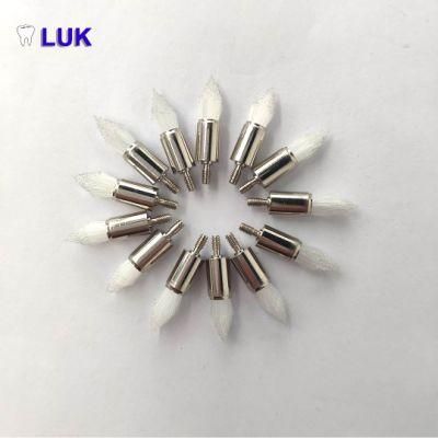 Hot Sell Disposable Screw Thread Dental Polishing Brushes (PB-320)