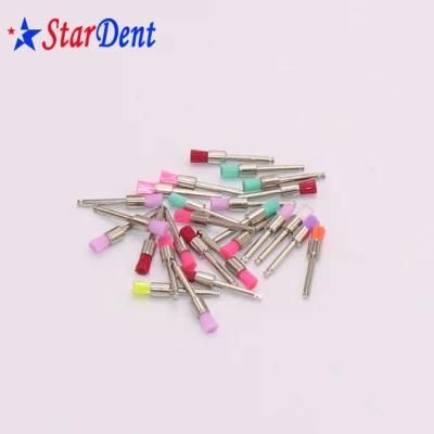 Dental Supplier Colorful Nylon Latch-Type Flat Head Prophy Brush with Good Price