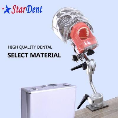 Good Quality Teaching System Phantom Head of Dental Equipment