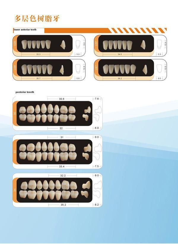 Factory Sale! ! ! 2022 Best Selling 2-Layer Dental Acrylic Teeth