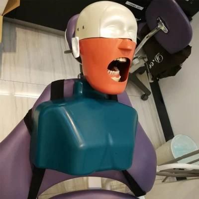Manikin Phantom Head Training Practice for School Oral Dental Simualtor