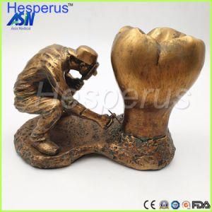 Dental Model Copper Material Copper Statue of Man Asin