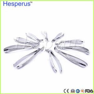 Dentagra Dental Forceps Kit Adult Tooth Forceps 10 Piece Dental Pliers