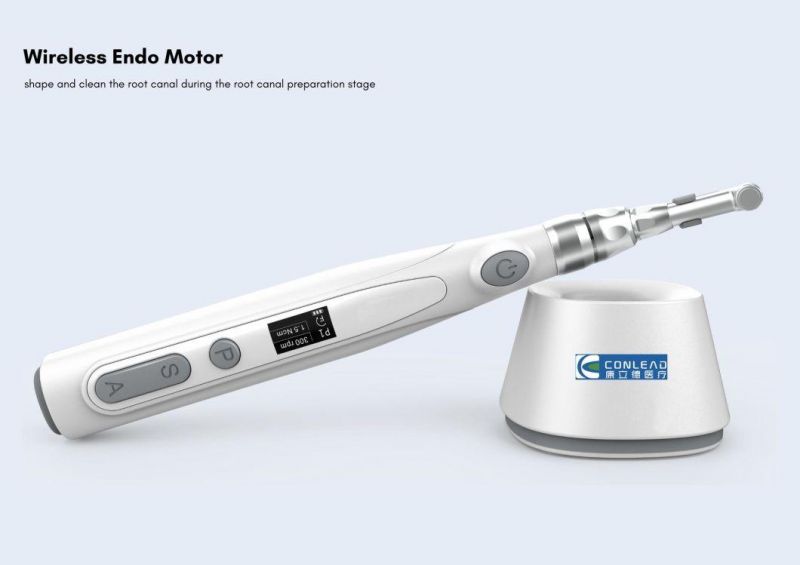 FDA CE Approved Electric Endo Motor, with Real-Time Feedback Technology and Dynamic Torque Control