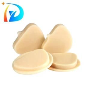 China Supplier Multilayer PMMA Blank for False Teeth