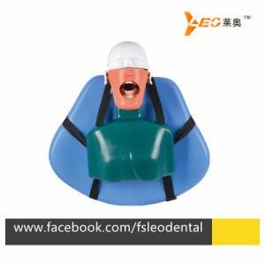 Dental Practice Phantom Head Attach on Dental Chair Type Simulator