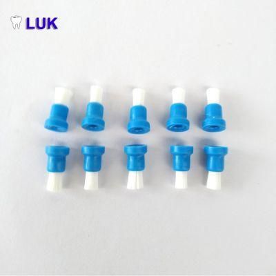 Factory Supplier Dental Disposable Polishing Prophy Cup