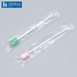 Disposable Oral Swab for Dental Cleaning