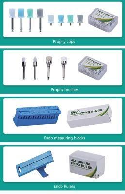 CE Sterilizable Plastic Endodontic Measurement Endo Block