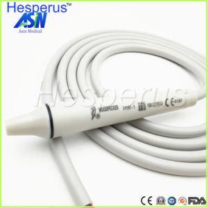 Dental Sealed Handpiece Hw-1 for Woodpecker Ultrasonic Scaler