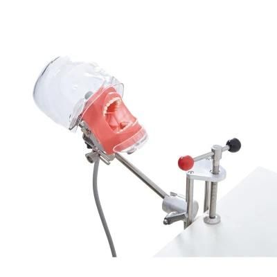 Desktop Mounted Cheap Dental Phantom Head Simulator for Dentist Education