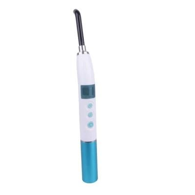 Whitening Function Portable Curing Lamp Light
