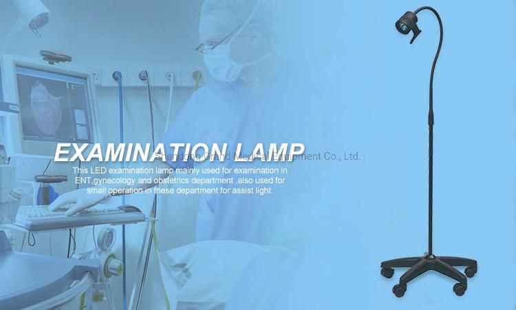 Cheap Halogen Examination Lamp Goose Mobile Light
