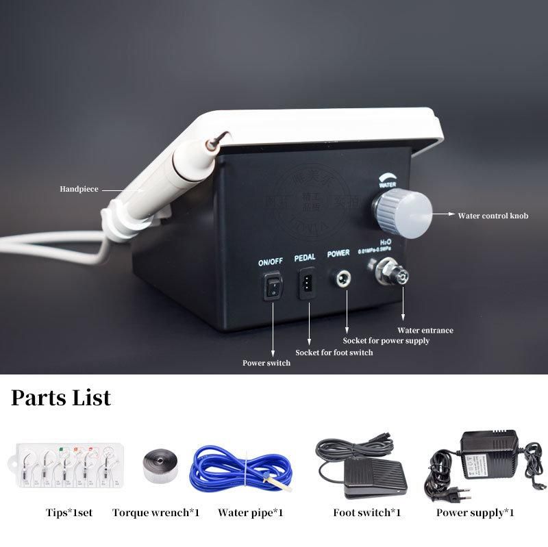 Dental Ultrasonic Scaler with Detachable Handpiece