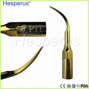 Dental Ultrasonic Scaler Tips Fits for Woodpecker Handpiece Ce Approved P1t