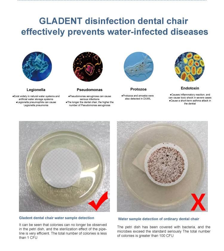 CE and FDA Approved Disinfection Dental Chair with Hydraulic Motor System