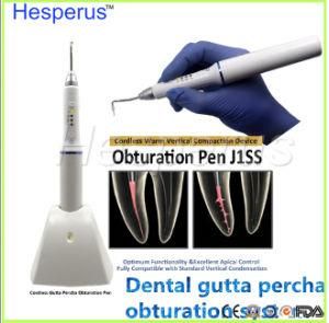 Dental Cordless Gutta Percha Endodontic Obturation System
