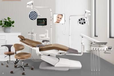 USA Design Implant Type Luxury Instrument Tray Dental Equipment Chair